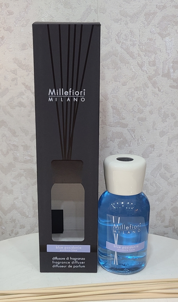 Blue Posidonia Diffuser - Image 3