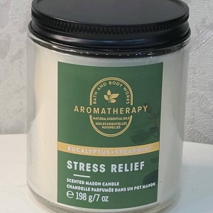 Bath & Body Works Eucalyptus Spearmint Candle
