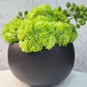 Green Potted Plant Black Base