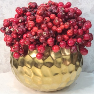 Red Strawberry Potted Plant