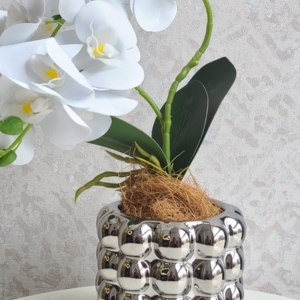 White Orchid Silver Vase